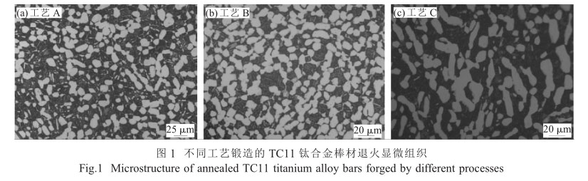 1647728641389016.jpg t1.jpg