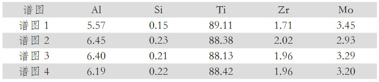 1676816696940817.jpg b2.jpg